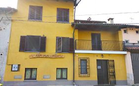 Spighe Paglia e Girasole